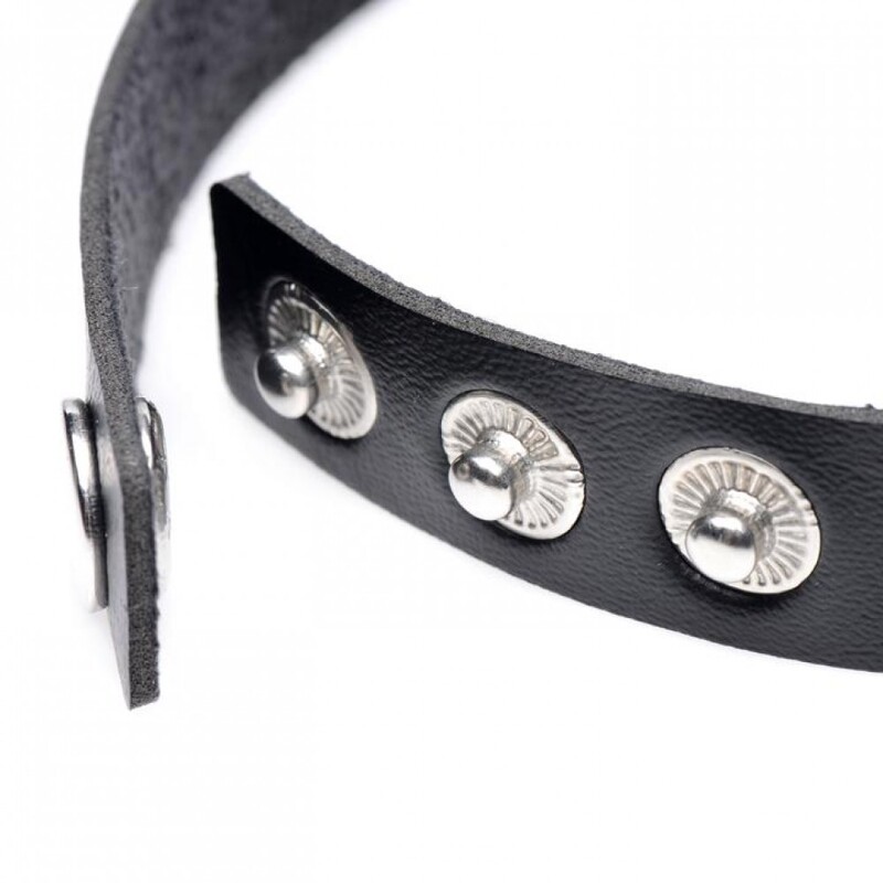 Чекер XR Brands Gothic Heart Adjustable Collar