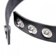 Чекер XR Brands Gothic Heart Adjustable Collar