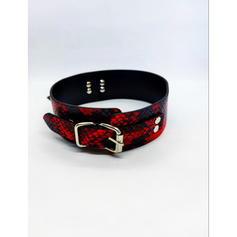 Оейник с поводком Collar black/red with leash