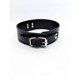 Ошейник с поводком DS Fetish Collar with leash black