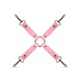 LBX404 Набор БДСМ Secret Pleasure Chest - Pink Pleasure