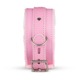 LBX404 Набор БДСМ Secret Pleasure Chest - Pink Pleasure