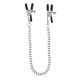 Зажимы на соски Adjustable Clamps with Chain
