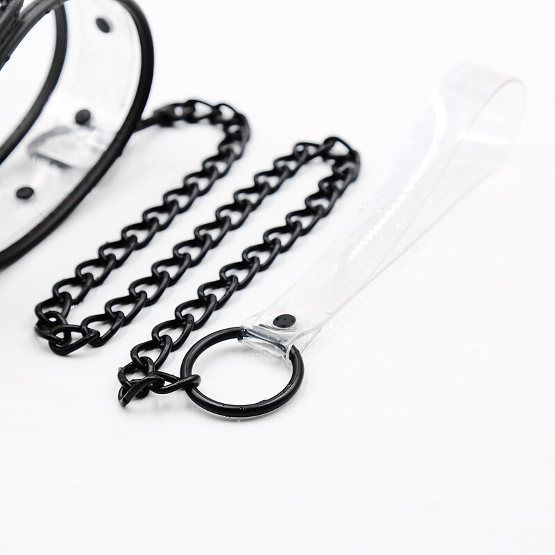 Ошейник с поводком DS Fetish Collar with leash transparent