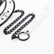 Ошейник с поводком DS Fetish Collar with leash transparent