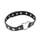Ошейник DS Fetish Collart black metal