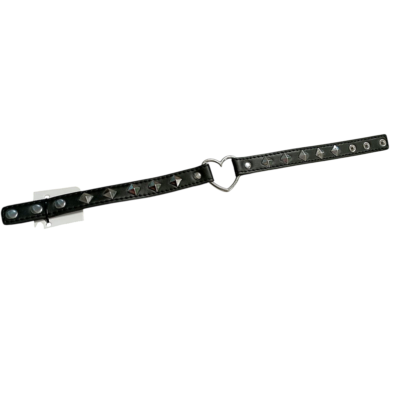 Ошейник DS Fetish Collart black metal