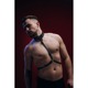 Портупея с ошейником мужская One Size Р7 , натуральная кожа, черная