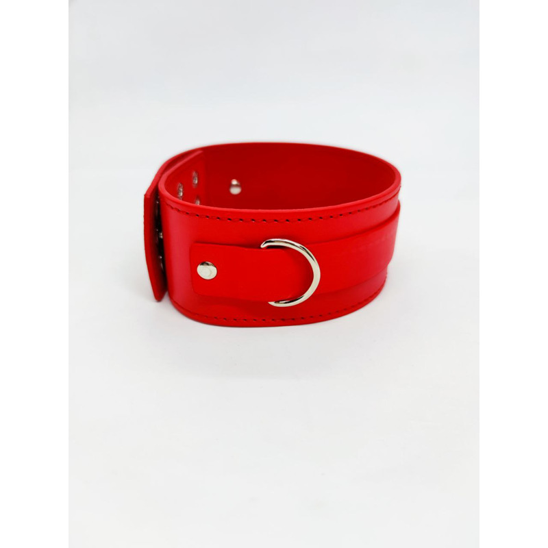 Ошейник с поводком DS Fetish Collar with leash red metal