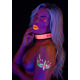 Ошейник с поводком светящийся в темноте Taboom Glow In the Dark Collar and Chain Leash, розовый