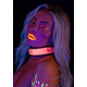 Ошейник с поводком светящийся в темноте Taboom Glow In the Dark Collar and Chain Leash, розовый