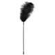 Перо Black feather Bad Kitty