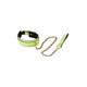 Ошейник с поводком светящийся в темноте Dream Toys Radiant Collar & Leash зеленый