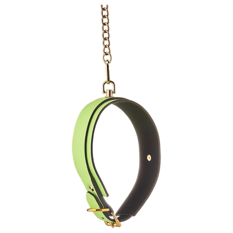 Ошейник с поводком светящийся в темноте Dream Toys Radiant Collar & Leash зеленый