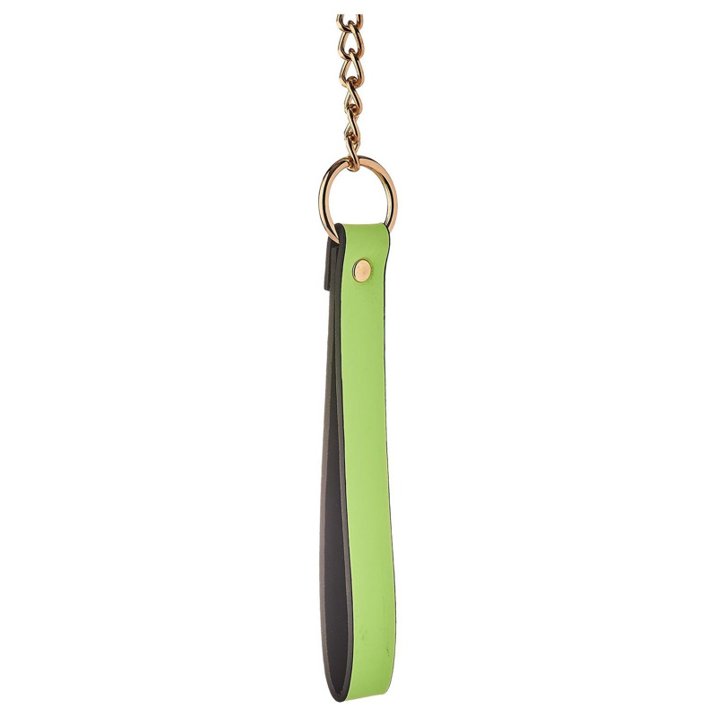 Ошейник с поводком светящийся в темноте Dream Toys Radiant Collar & Leash зеленый