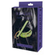 Ошейник с поводком светящийся в темноте Dream Toys Radiant Collar & Leash зеленый