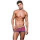 Трусы-боксеры мужские Envy Menswear Rainbow Hearts разноцветные, L/XL