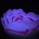 Свеча люминисцентная низкотемпературная GlowKink фиолетовая, М