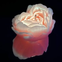 Свеча люминисцентная низкотемпературная GlowKink оранжевая, М