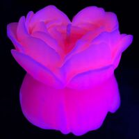 Свеча люминисцентная низкотемпературная GlowKink розовая, М