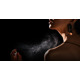 Духи с феромонами PheroStrong Pheromone Wind для женщин, 50 мл
