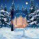 Подарочный набор Satisfyer Deluxe Advent Calendar 2025