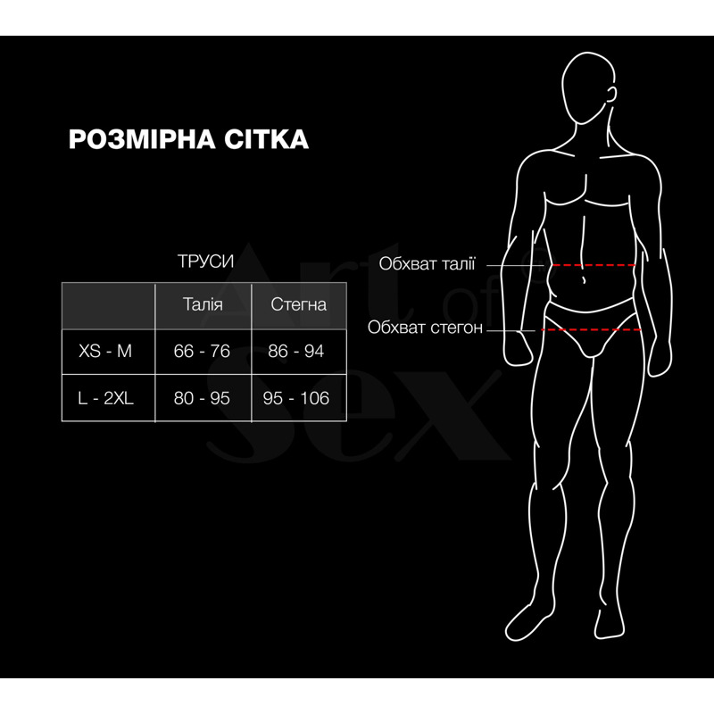 Мужские трусики из сетки Art of Sex - Demir, цвет черный, размер L-2XL