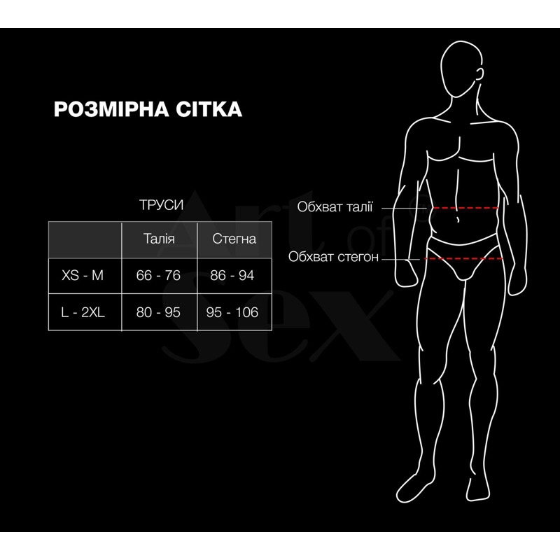 Мужские трусики из сетки Art of Sex - Demir, цвет черный, размер XS-M