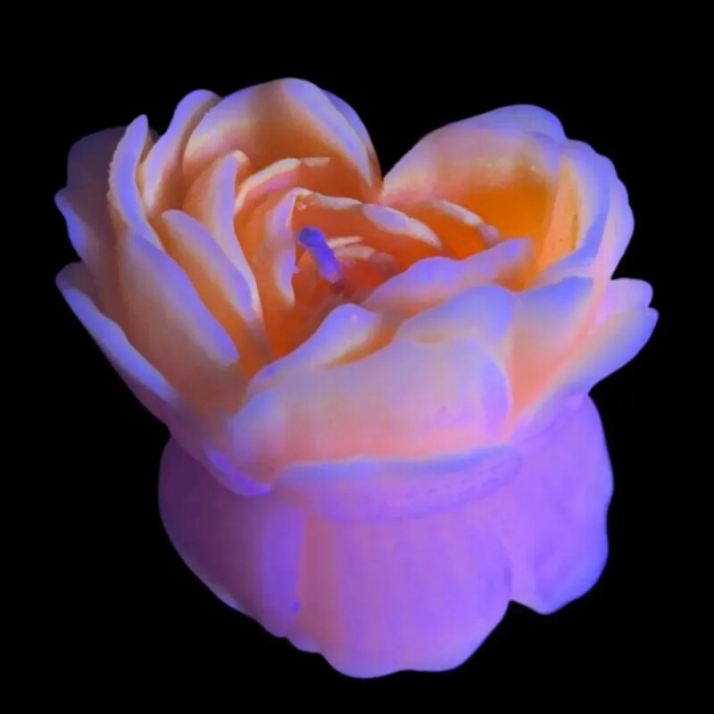 Свеча роза люминесцентная GlowKink 62 г, низкотемпературная, L, для БДСМ, оранжевая
