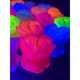 Свеча роза люминесцентная GlowKink 62 г, низкотемпературная, L, для БДСМ, оранжевая