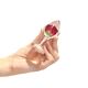 Роскошная анальная пробка Loviss Rose Anal Plug с настоящей розой внутри