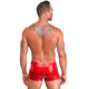 Мужские шорты Noir Handmade H097 Ignite shorts L