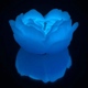 Низькотемпературна БДСМ-свічка у формі троянди GlowKink, люмінесцентна, L, 62 г, блакитна