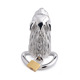 Клетка для пениса Master Series: Tiger King Cock Cage With Lock, три кольца, замок, три ключа