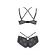 Комплект Passion DROSERA BIKINI black, XXL/XXXL, бюстгальтер и трусики-кюлоты