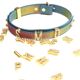 Ошейник LOCKINK Multi-color DIY Alphabet Collar