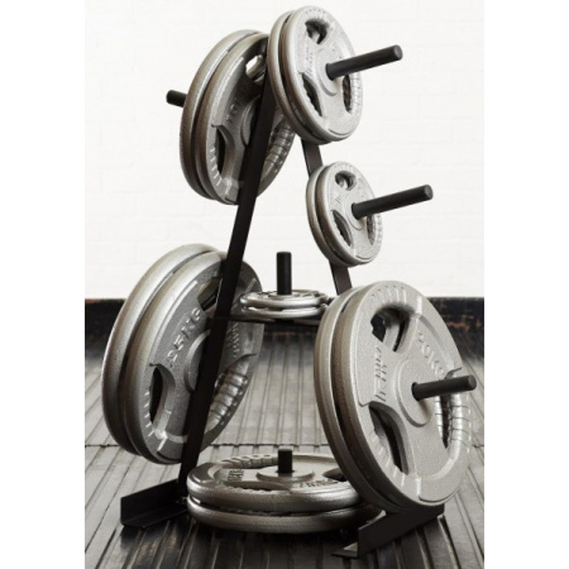Стійка для дисків Toorx Rack 25 mm (RPD-25)